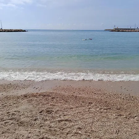 Your Favorite * Menton