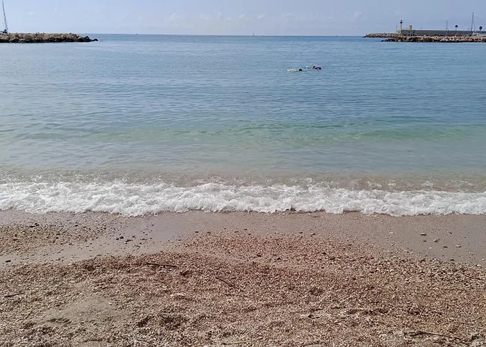 Your Favorite * مينتون